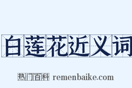 白莲花近义词是什么意思的图片